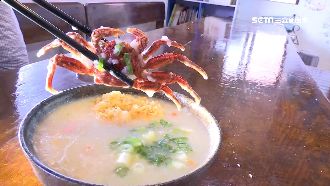 夏天也有！東北角白底蟹　煮粥超鮮美