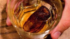 加拿大酸腳趾雞尾酒。(圖/翻攝自推特)