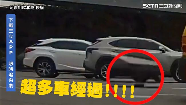 小貓意外掉出底盤　運將救援感動網友