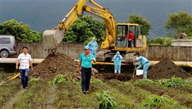 宜蘭,大同鄉,樂水部落,玉米田,秋行軍蟲害,第2例,確診,啟動銷毀作業。宜蘭縣政府提供
