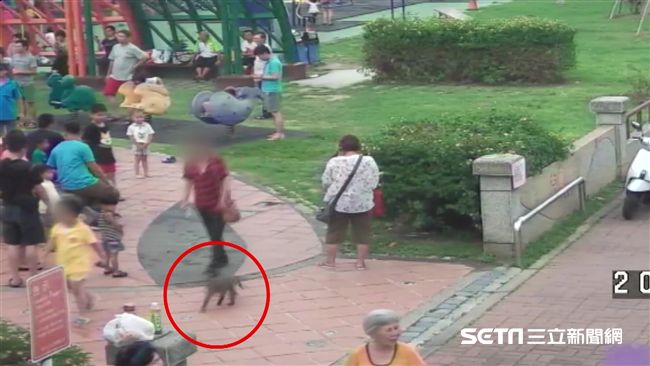 男童公園遛猴子　小女孩無辜遭咬傷