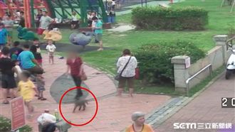 男童公園遛猴子　小女孩無辜遭咬傷
