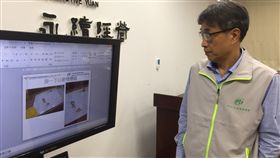 馬祖發現秋行軍蟲成蟲　台灣本島案例均幼蟲農委會秋行軍蟲災害應變緊急小組14日公布，13日晚間改採形態鑑定後新增34例幼蟲；另外確定馬祖福澳港誘集到4隻是成蟲，因未經繁殖，還是第一代。中央社記者楊淑閔攝　108年6月14日