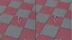 他罵醫院不來人行道「收屍」...近千則留言歪樓「你為什麼不做CPR」（圖／爆怨公社）
