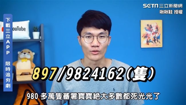 八年級生必養蕃薯寶寶　網：童年回憶
