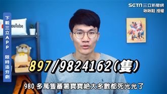 八年級生必養蕃薯寶寶　網：童年回憶