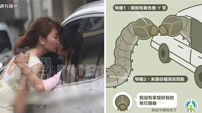 防疫文宣曝光！秋行軍蟲害阿翔也中槍