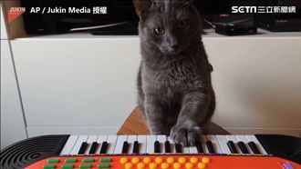 喵星人上鋼琴課！　練琴練到哭哭討拍