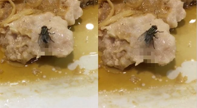母蠅降落飯菜產卵噴蛆！他狂嘔崩潰了