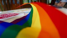 同婚,釋憲,同性戀,挺同,反同,同志,平權,結婚,婚姻,大法官,憲法,平等,專法,立法,修法-▲圖／翻攝自婚姻平權小蜜蜂臉書粉絲專頁