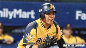 ▲中信兄弟陳子豪送回勝利打點，再贏得仲裁薪資夜晚。（圖／記者林士傑攝影）