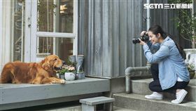 Sony Taiwan,Sony,α系列,Instagram,攝影,吳毅平,IG