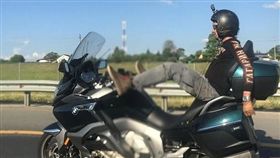 俄羅斯,網紅,YouTube,車禍身亡（圖／翻攝自推特）