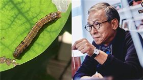 吳念真,秋行軍蟲,防檢局,夜盜蟲（圖／翻攝自臉書）
