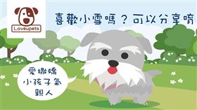 ▲（圖／愛你寵物網提供）