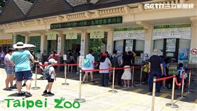 台北市立動物園,動物園,電子化收費系統,排隊,買票