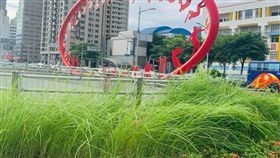高雄,韓國瑜,雜草,捷運,技擊館站,市政,熱帶雨林 圖/Wecare高雄臉書