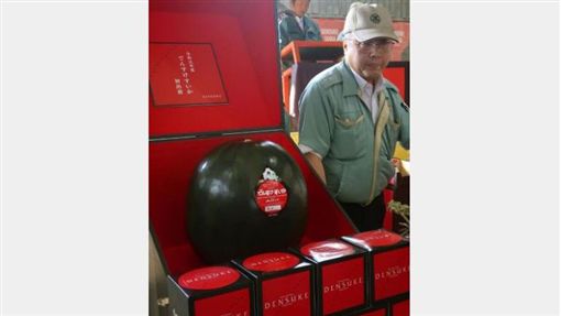 全球最貴 北海道 黑西瓜 一顆21萬得標者 很榮幸 國際 三立新聞網setn Com