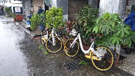 oBike棄置亂象　花蓮縣府加強清除