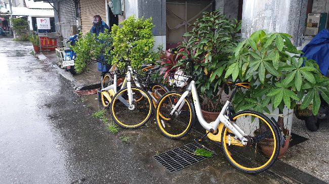 oBike棄置亂象…花蓮縣加強清除