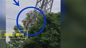 高壓電塔,觸電,端午連假,大陸　圖／翻攝自梨視頻