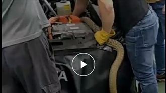 影／媽呀！雨刷卡住　竟拉出2公尺牠