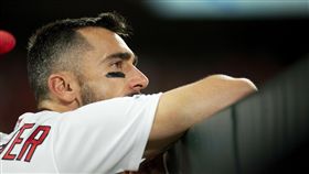 ▲聖路易紅雀三壘手Matt Carpenter。（圖／美聯社／達志影像）