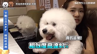 調包愛犬整主人！秒被發現：不是這隻