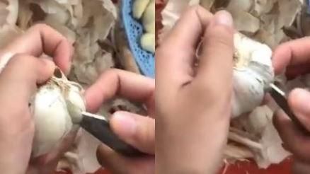 3秒高速剝大蒜神技！再不怕臭味沾手