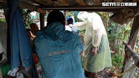 登革熱,新北市衛生局,境外移入,積水容器,病媒蚊