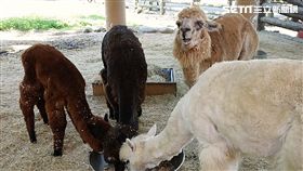 台北市立動物園,不對外開放,不開放,動物園