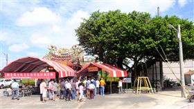 台南老樹要搬家  各界祈福盼順利（1）台南市新營轉運站附近一棵約300歲的老榕樹，受附近土地重劃影響，面臨強降雨後可能積水情況。市府農業局計畫移往附近公園，17日發起祈福活動。（農業局提供）中央社記者楊思瑞台南傳真  108年6月17日