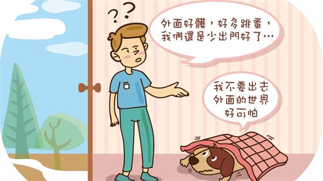 汪星人為什麼足不出戶？背後原因曝光