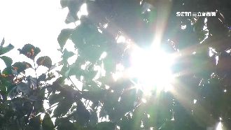 全台燒成紅番薯！體感溫度衝破40度