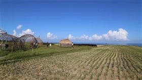 暢遊東海岸景點  花蓮推郵輪式公車花蓮縣政府新闢東海岸線－郵輪式公車22日上路，路線從花蓮火車站經省道台11線到石梯坪，沿途停靠新社梯田（圖）、親不知子海上古道、芭崎瞭望台等，採預約制發車，4人以上成行，一日券新台幣520元。中央社記者李先鳳攝　108年6月19日