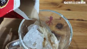 奶茶,光泉,生乳,奶精,午后時光,鮮奶茶