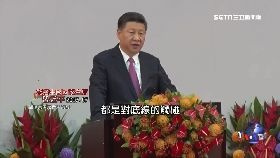 文 習大誤判港2000