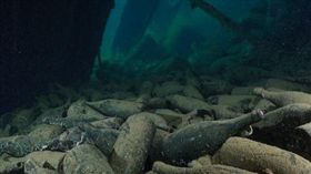 美國潛水男子在沉船挖出百年紅酒。(圖/翻攝自每日頭條)