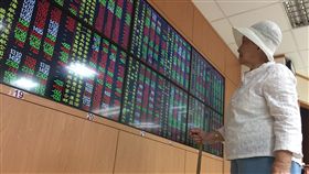 台股盤中漲逾百點（2）台股30日在國際股市普遍走揚下，由電子權值股發動攻勢，盤中大漲超過100點，三王同步勁揚，帶動指數重回所有均線之上，多方再度拿回發球權，帶領大盤挑戰11000點大關。中央社記者董俊志攝　107年3月30日