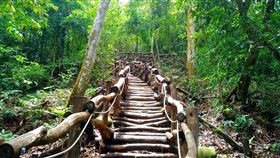 大坑5-1號登山步道整建完成台中市大坑5-1登山步道已完成全線路段整建，民眾可前往聽蟬、賞蝶，體驗生態之美。（台中市政府提供）中央社記者趙麗妍傳真　108年6月19日