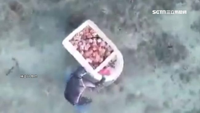 空拍機辦案　澎湖盜採馬糞海膽全都錄
