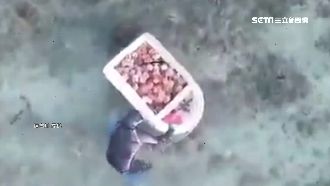 空拍機辦案　澎湖盜採馬糞海膽全都錄