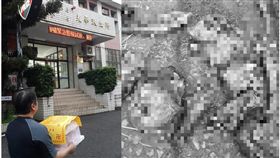 台中,沙鹿,台灣獼猴,傅東森（圖／翻攝傅東森臉書）