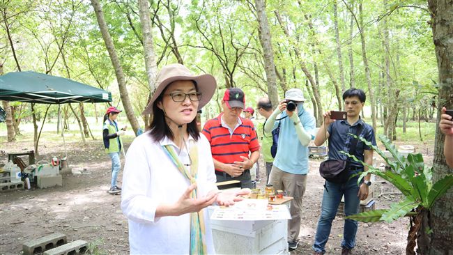 種段木香菇又養蜂　花蓮推林下經濟
