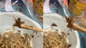 你會怕蟑螂嗎？許多人對蟑螂聞之色變，當「小強」身影一出現，都會被嚇得放聲尖叫，但日前就有網友在《爆廢公社》上發文，說自己買超商微波食品吃到一半時，發現疑似小強的生物，讓他嚇得趕緊跑回超商確認，還好最後只是虛驚一場，疑似小強屍體的東西，只是調味用的紅蔥頭，不過因為形狀極為相似，也引起網友的熱烈討論。（圖／翻攝自爆廢公社）