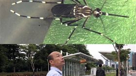  （合成圖／翻攝自韓國瑜臉書、疾管署提供）