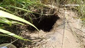 恐怖詛咒?!男疑盜墓 