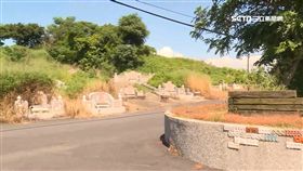 恐怖詛咒?!男疑盜墓 