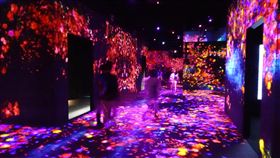 東京數位藝術博物館魅力大　一年吸客230萬人位於東京台場的森大廈數位藝術博物館開幕一週年已吸客230萬人，遊客在館內不需地圖指引，可用五感享受藝術。中央社記者楊明珠東京攝　108年6月20日