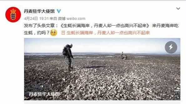 生蠔大閘蟹氾濫！「送中」解套吃貨爽